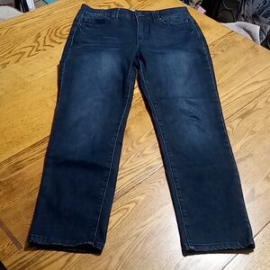 DEMOCRACY Jeans Womens 10 DARK BLUE DENIM Preowned Casual Summer Spring Used